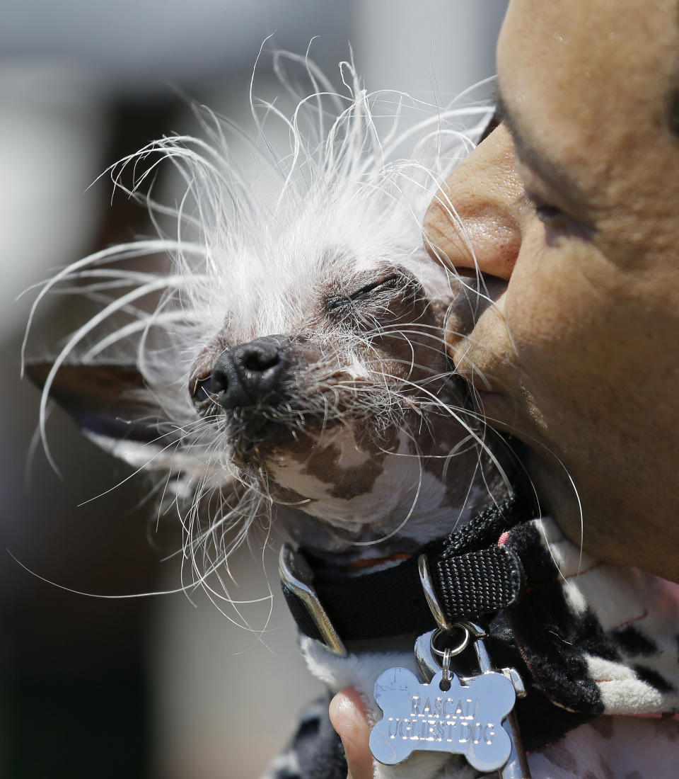 Photo credit: Eric Risberg / AP