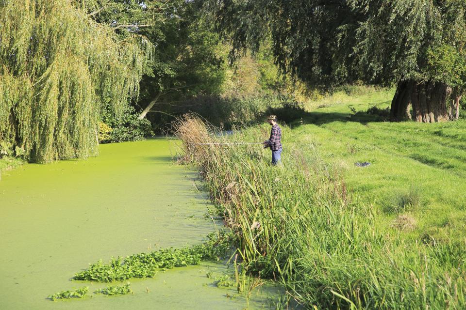 Autumn rural landscape River Deben, Ufford, Suffolk, England, UK with fisherman. (Photo by: Geography Photos/Universal Images Group via Getty Images)