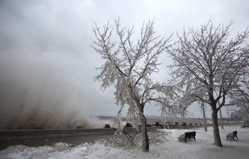 Ontario Winter Storm