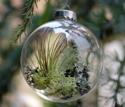 50) Terrarium Ornament