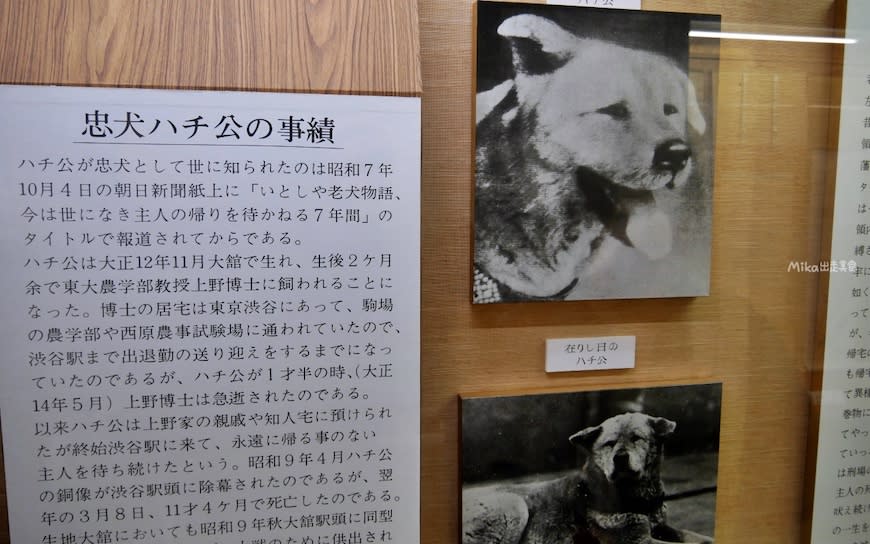 日本秋田｜秋田犬會館