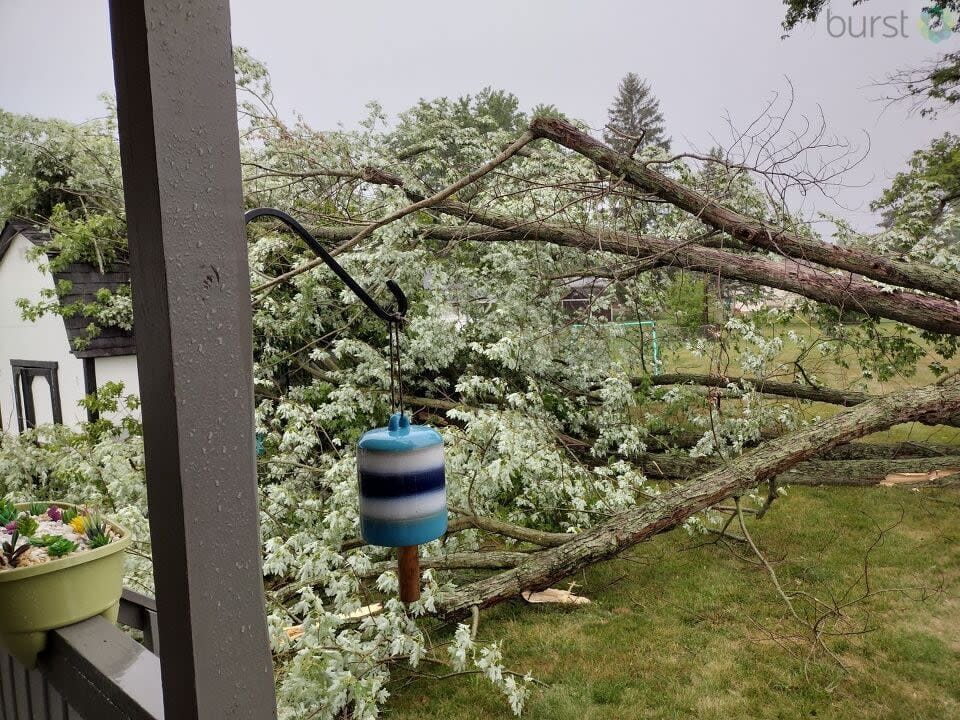 Storm Damage in the Miami Valley