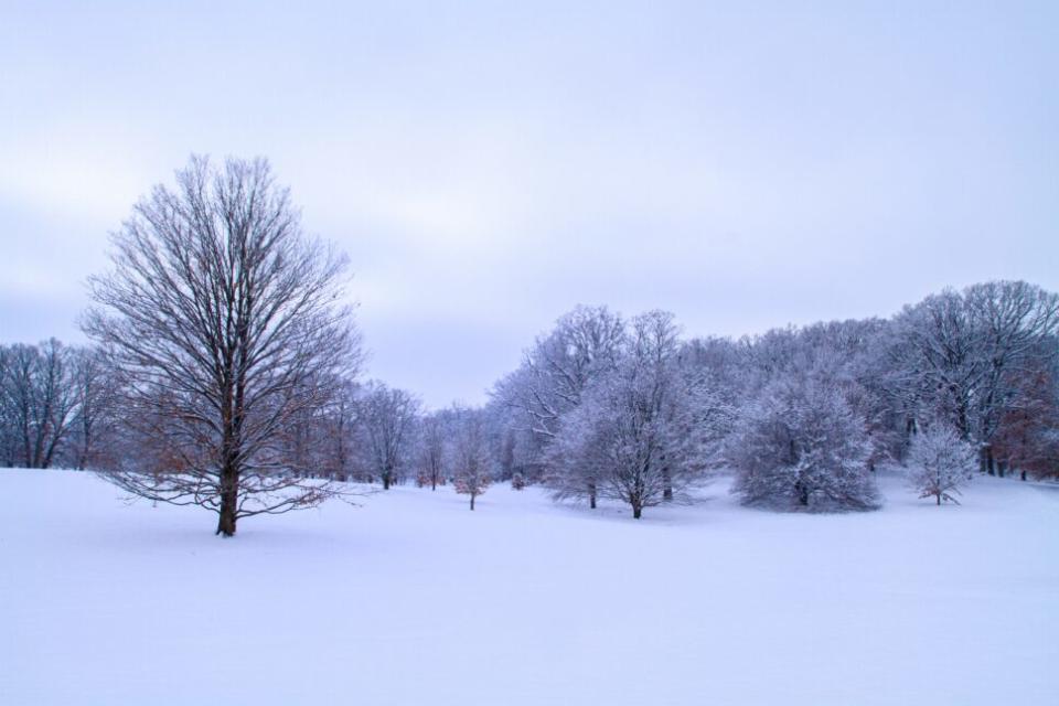 Surprisingly, Illinois is one of the film location of tropical paradise film "Couples Retreat". Check out where else the movie was made. Pictured: Illinois in the winter 