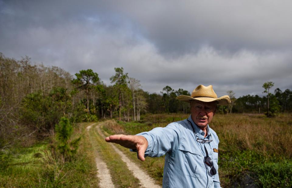 Marshall Olson, Director of Conservation and Interim Sanctuary Director at Corkscrew Swamp Sanctuary explains restoration efforts to media on Nov. 23, 2022. More than 1000 acres of willow and other woody shrubs has been removed to aid in the recovery of the marsh and prairies at the swamp. The prairie is home to an abundant amount of wildlife including wading birds and a host of other critters. The willow and other woody shrubs was choking out the prairie 