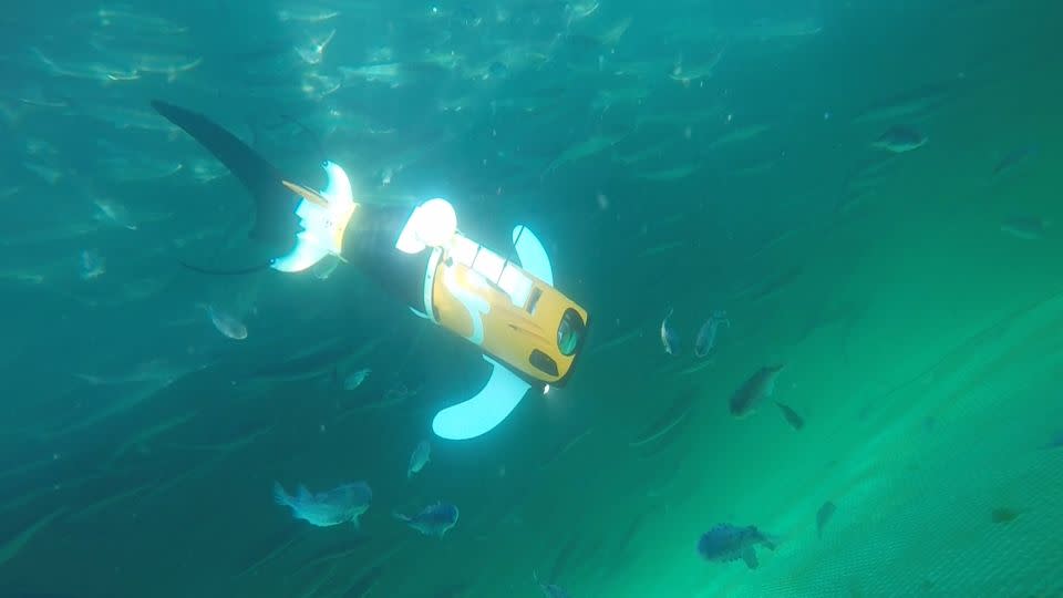 Aquaai's underwater drone swims with fish - Aquaai