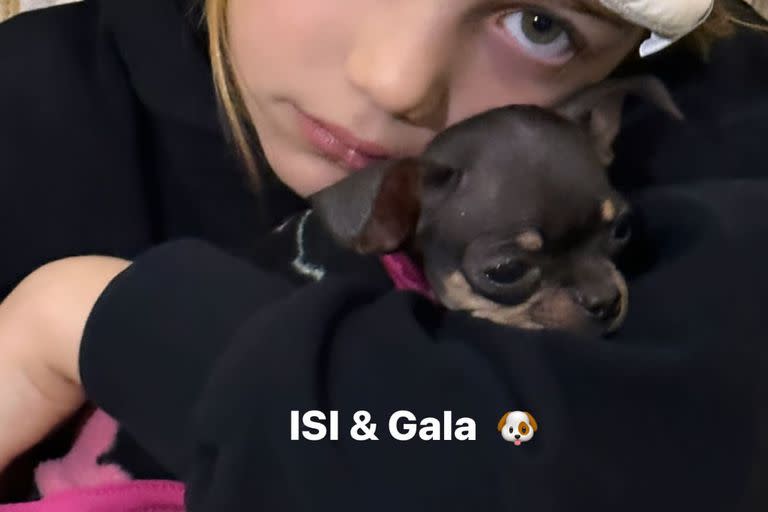 Isabella con su antifaz para dormir en el avión con su nueva perrita en brazos (Foto: Instagram @wanda_nara)