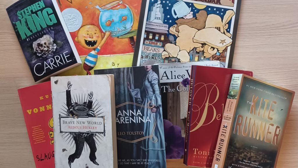 Some of the hundreds of books removed from Florida public schools this year as educators work to make sure library collections do not violate new state laws