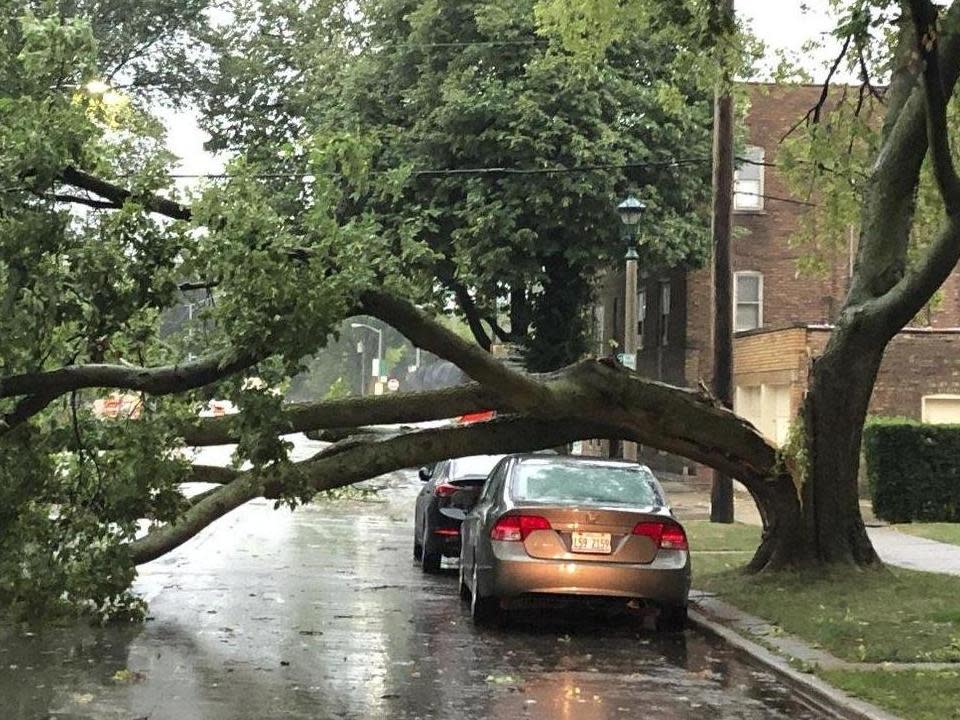 "This is our version of a hurricane," said Northern Illinois University meteorology professor Victor Gensini: AP//Dave Zelio