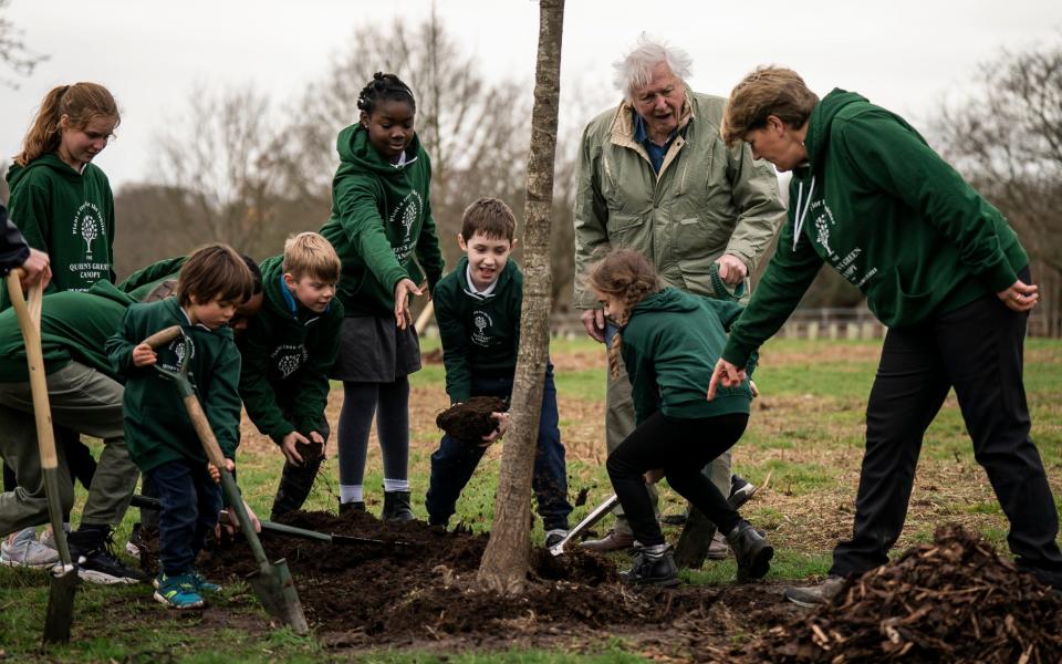 Clare Balding also helped with the project in Richmond Park, one of London’s eight Royal Parks - Aaron Chown