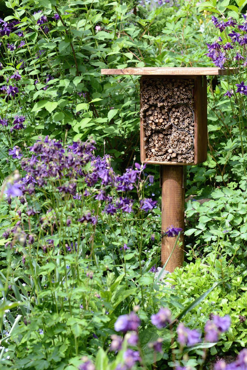 how to rewild your yard wildlife shelter