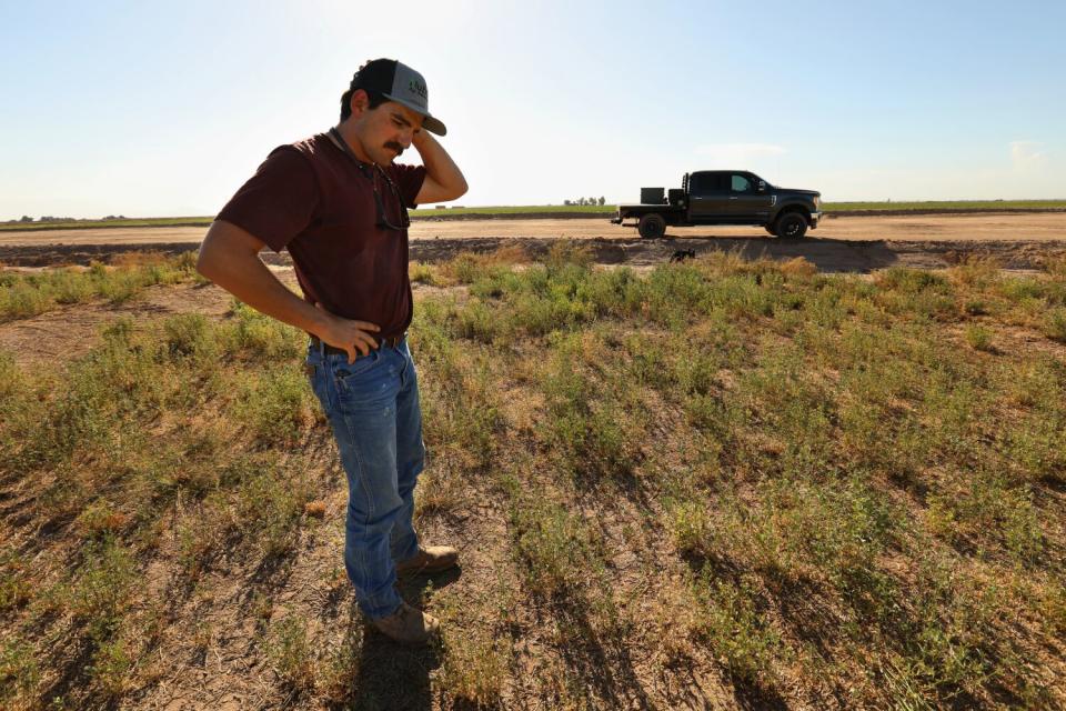 A farmer stands in a field