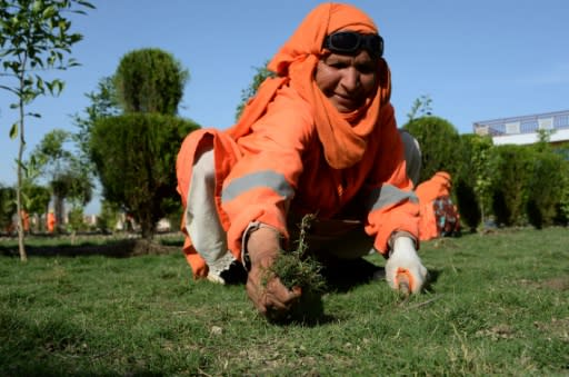 The programme represents a rare chance for women to work outside the home in one of Afghanistan's most conservative and unstable provinces