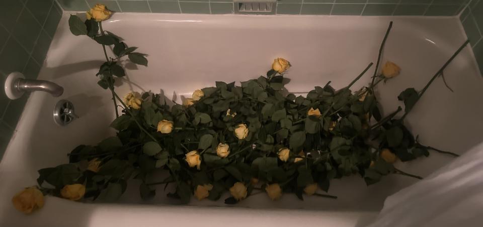 Bathtub roses