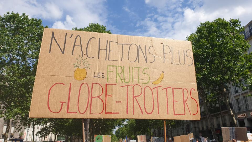 Grève mondiale pour le climat : les meilleurs slogans