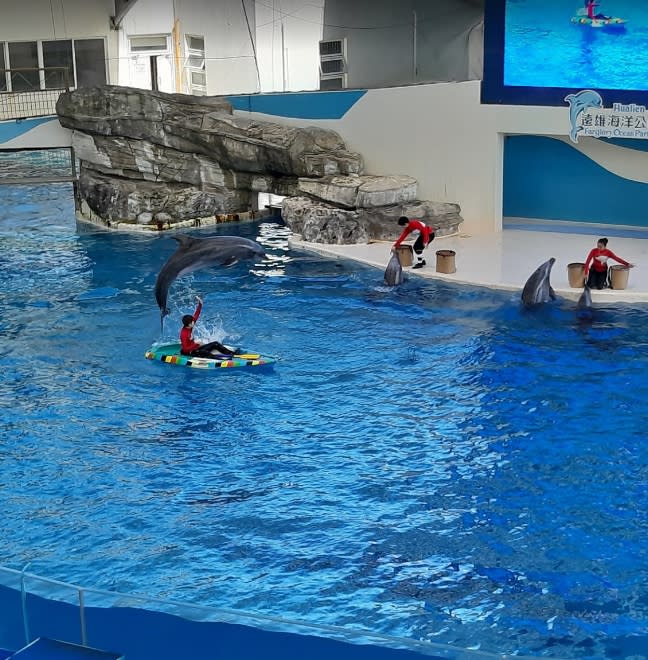 花蓮遠雄海洋公園推出兩人同行5月壽星免費入園的優惠。（圖／翻攝自Google Maps）