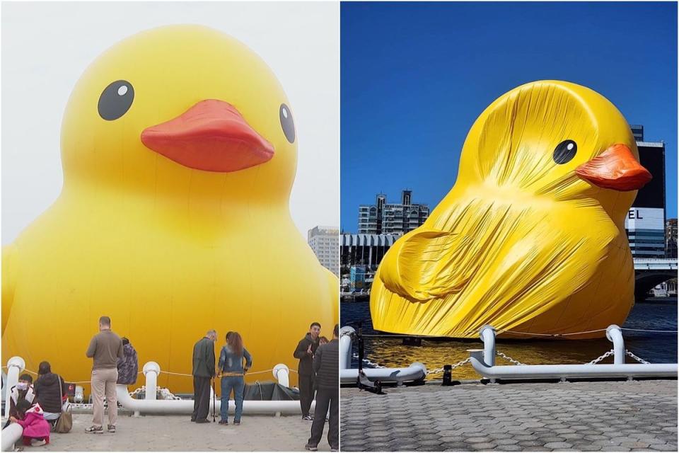 高雄小鴨因強風洩氣了。（左圖鏡新聞、右圖翻攝自邱俊憲 高雄市議員臉書）