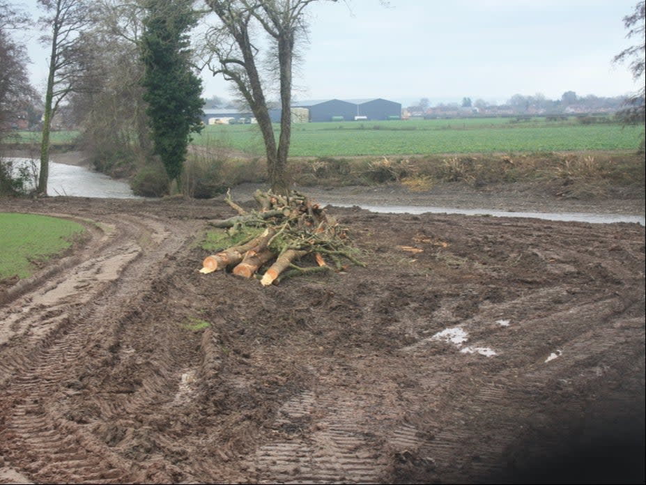 The bank along the River Lugg has been stripped bare and ploughed into bare mud (Herefordshire Wildlife Trust)