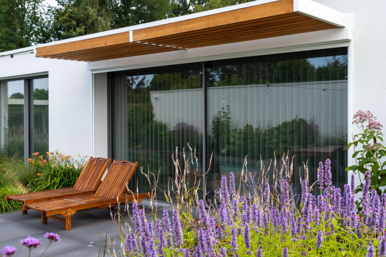  modern backyard with wooden loungers and lavender plants 