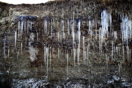 The Wider Image: Scientists race to read Austria's melting climate archive