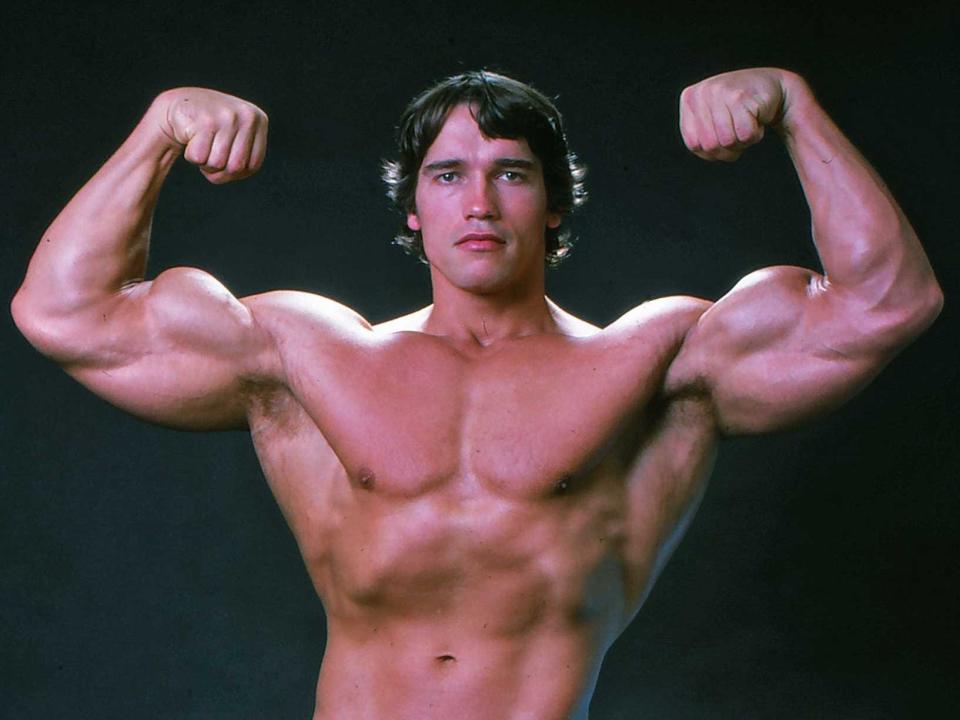 arnold schwarzenegger