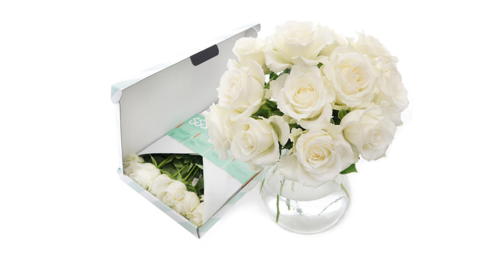 White Letterbox Roses 