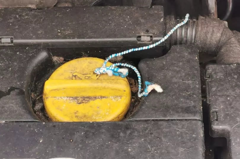 damaged wiring in car