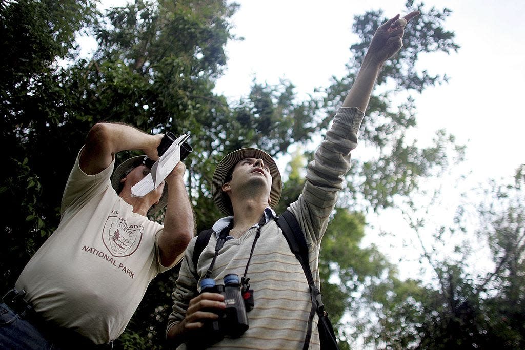 Bird counters Rafael Antonio Galvez, left, and Louie Toth participate in the Audubon Society's Christmas Bird Count on December 20, 2006 in Everglades National Park. The bird count is the oldest and largest citizen science event in the world.