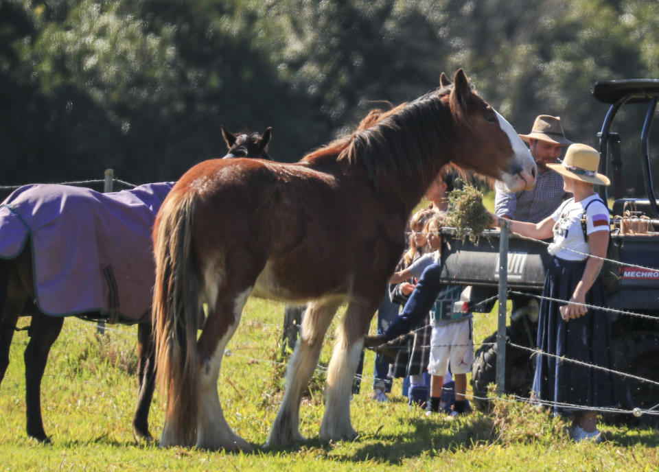 Pink enjoys downtime in Byron Bay with husband Carey Hart and daughter Willow