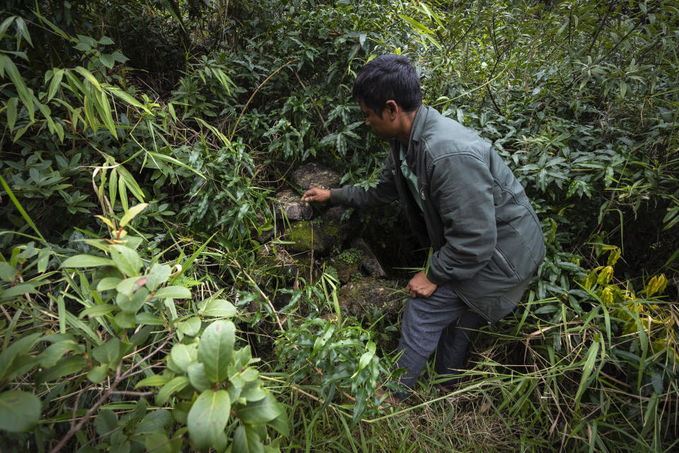 Knik Nongrum, president of the committee that cares for the Swer sacred forest in the East Khasi Hills region of Meghalaya near Cherrapunji, India, Thursday, Sept. 7, 2023. His clan follows the pantheistic Seng Khasi religion, which holds that God exists in everyone and everything. “When there is a healthy forest, there is prosperity in the village,” he says, vowing that this forest will continue to thrive because his clan is determined to carry on the traditions established by their ancestors. (AP Photo/Anupam Nath)