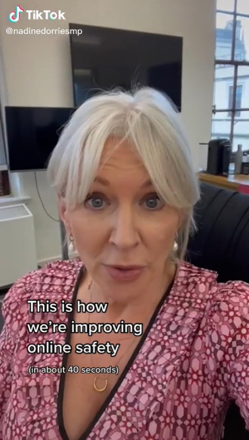 Nadine Dorries raps on TikTok about online safety (nadinedorriesmp/TikTok)