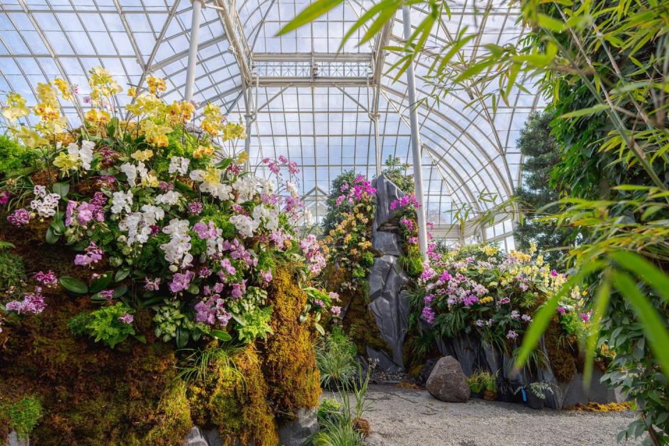 The New York Botanical Garden Reveals 2023's Orchid Show by Lily Kwong