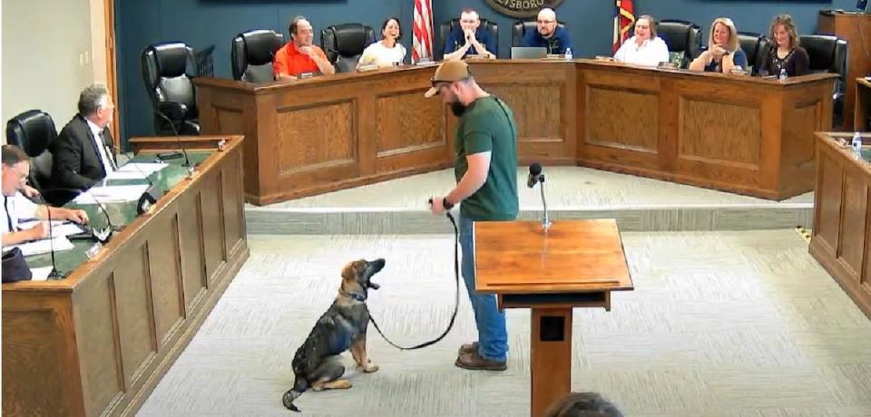 Mika, the German shepherd puppy that will be the Streetsboro Police Department's newest K-9, shows off her training to Streetsboro City Council. With the dog is her handler, officer Luke Nelson.