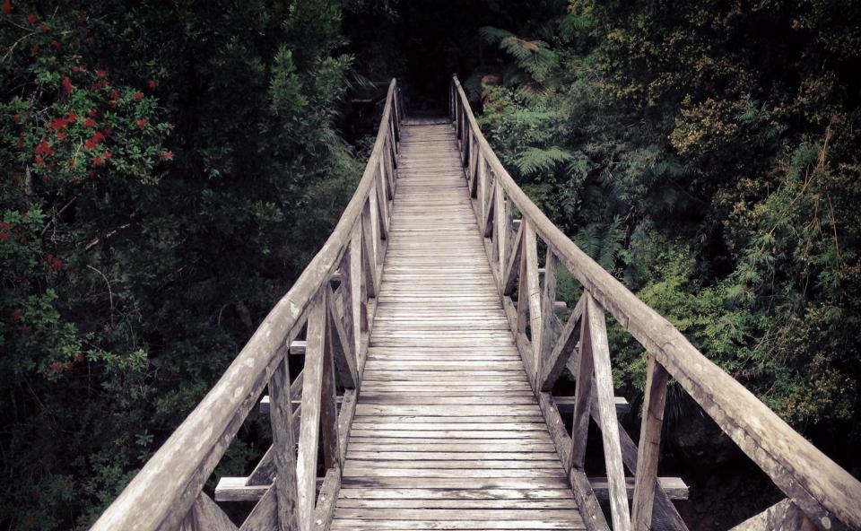 A footbridge in the Pumalín park