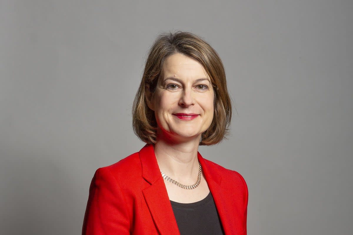 Helen Hayes who is seeking re-election as MP for Dulwich and West Norwood (PA Media)