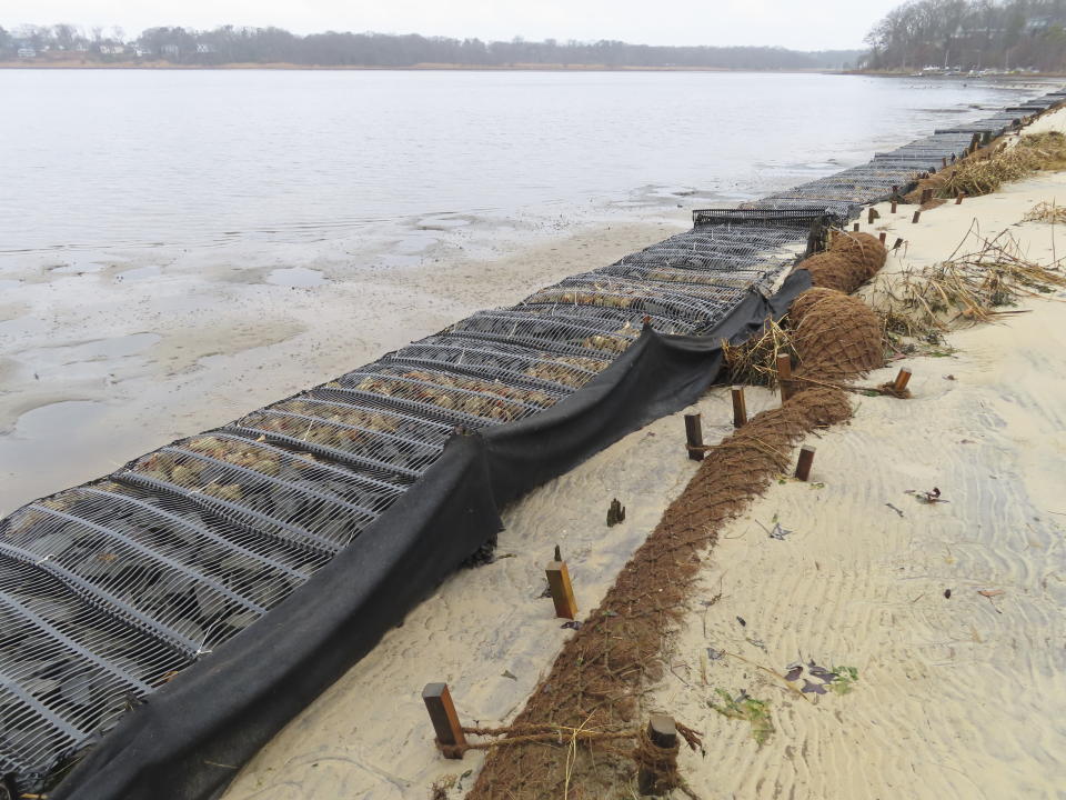 Logs of coconut husk known as coir sit on the bank of the Shark River in Neptune, N.J., Jan. 31, 2023, where the American Littoral Society doing a shoreline restoration project incorporating coconut fibers. The material is being used in shoreline stabilization projects around the world. (AP Photo/Wayne Parry)