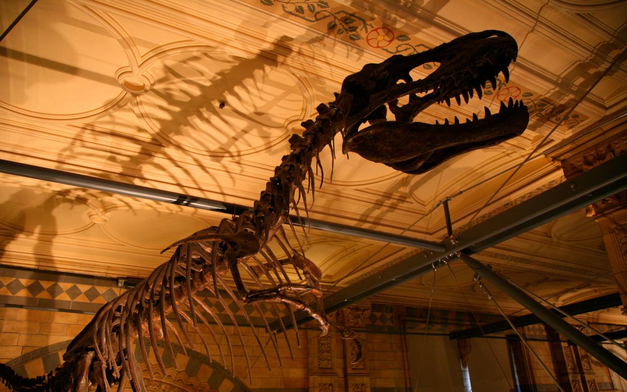 See complete dinosaur skeletons in museums near and far - This content is subject to copyright.