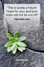 <p>“This is surely a future hope for you, and your hope will not be cut off.”</p><p><strong>The Good News: </strong>With God, there is hope. The future isn’t as scary when you think of things this way.</p>