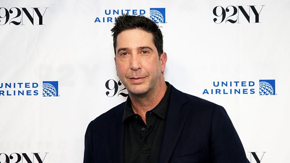 david schwimmer standing for a photo in front of an event red carpet backdrop