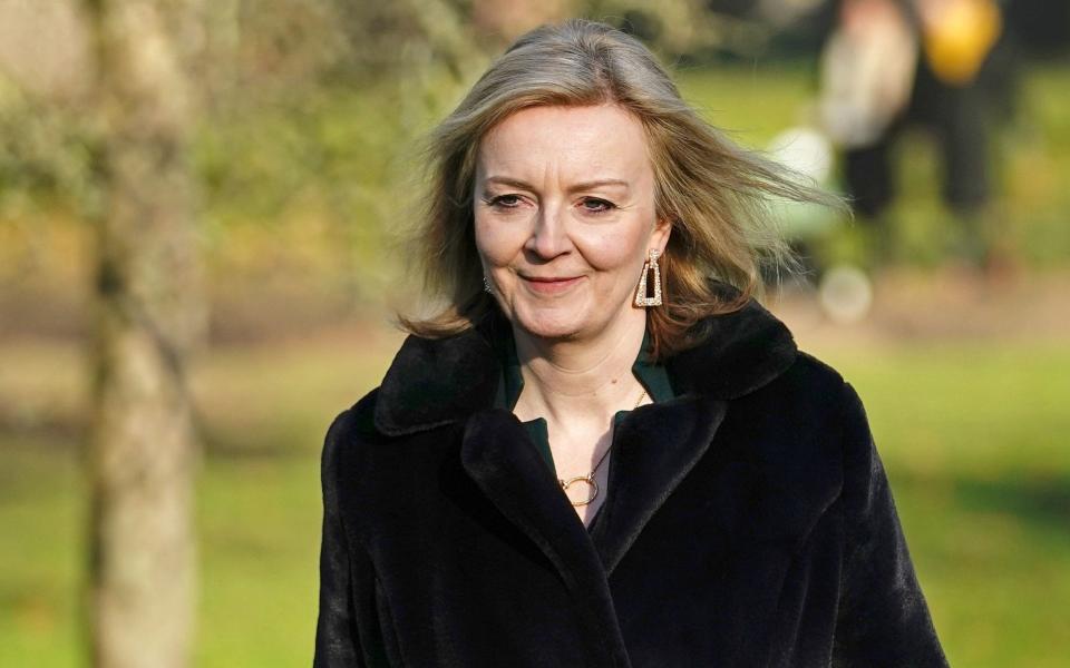 Liz Truss is among the top Tories simply not ready for a leadership contest, writes Gordon Rayner - Aaron Chown/PA Wire