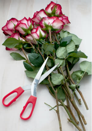 How to Keep Cut Flowers Fresh - Snips