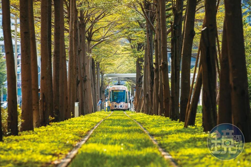 陳其邁上任力推輕軌復工，新通車的「龍貓隧道」路段，成為發燒打卡景點。