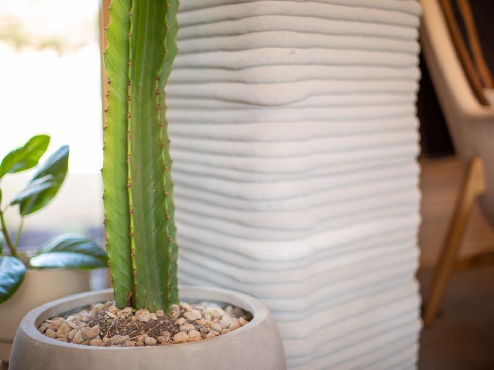 Inside Icon's over 2,000-square-foot House Zero in Austin. There's cactus in front of a printed walll