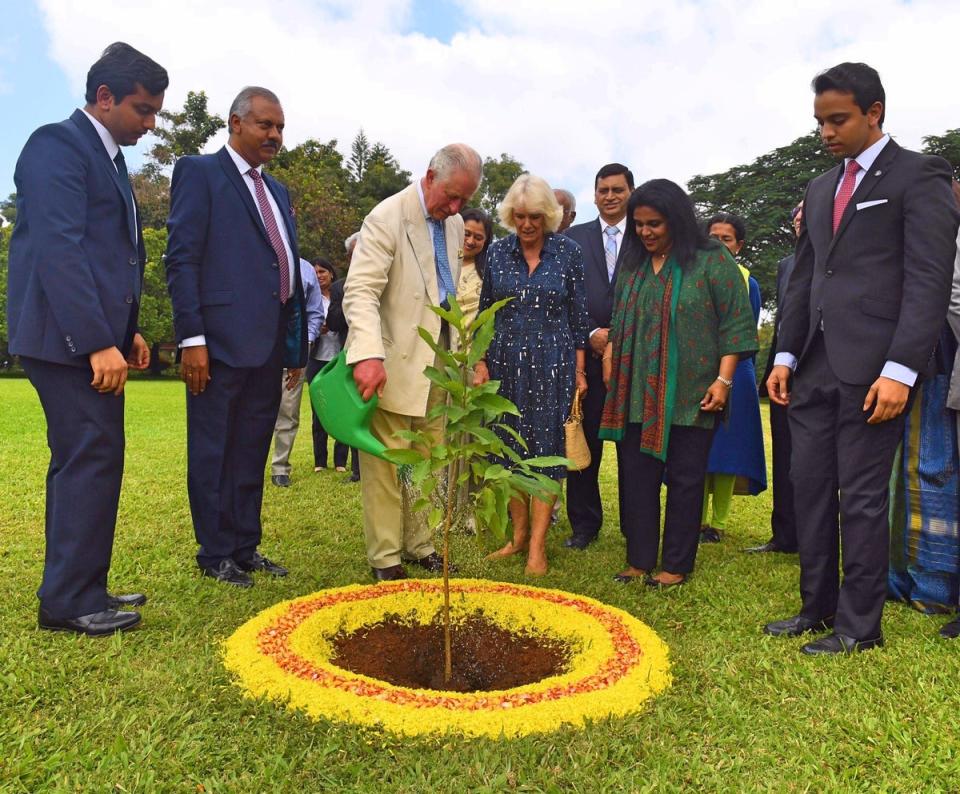 King Charles III planting a sapling at Soukya alongside Queen consort Camilla as Dr Isaac Mathai (second from left) looks on (Sourced)