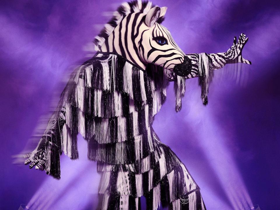 zebra masked dancer