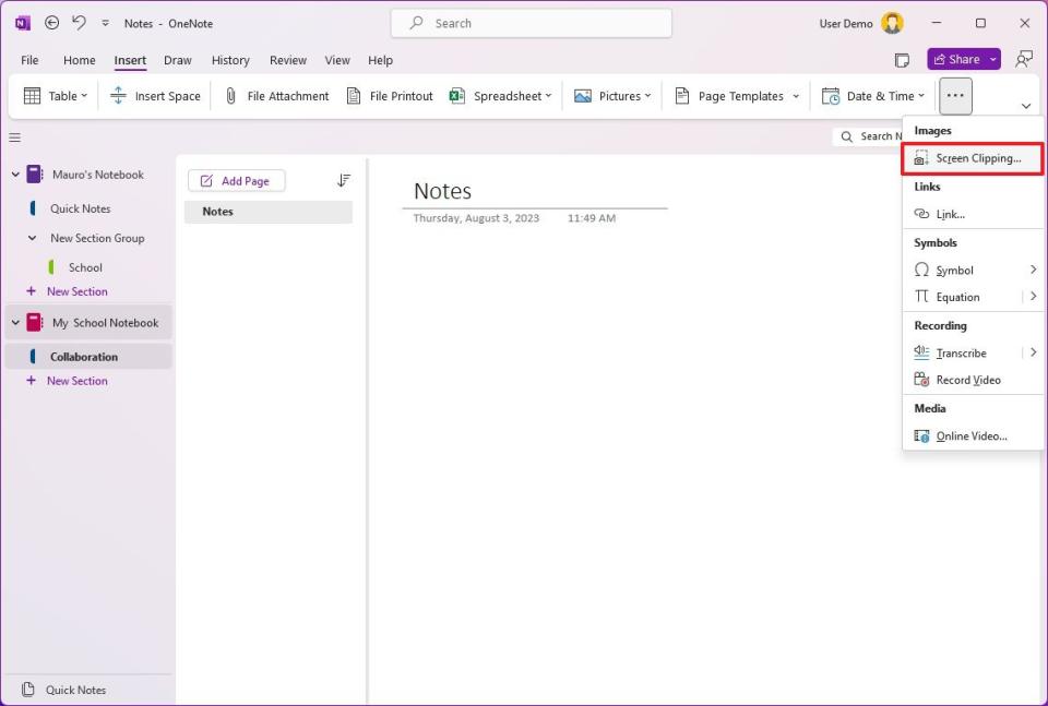 OneNote screen clipping