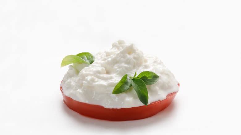 stracciatella cheese on a tomato