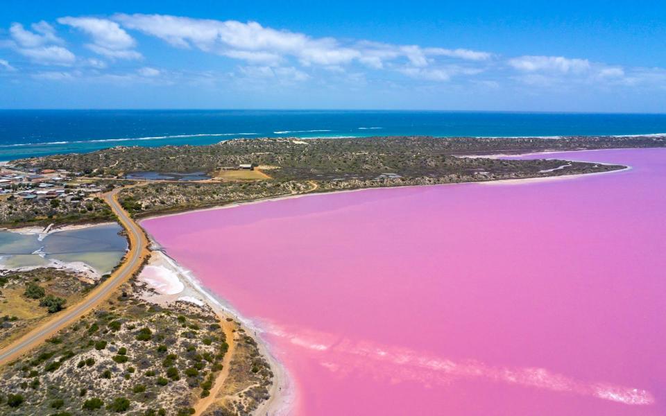 Im Westen Australiens liegt dieser außergewöhnliche Salzsee. Die Hutt Lagoon wird mit ihrer pinken Farbe zu einem beliebten Fotomotiv, nicht nur für Touristen, sondern auch Werbefotografen nutzen das Gewässer gerne als Kulisse ... (Bild: iStock / MXW Stock)