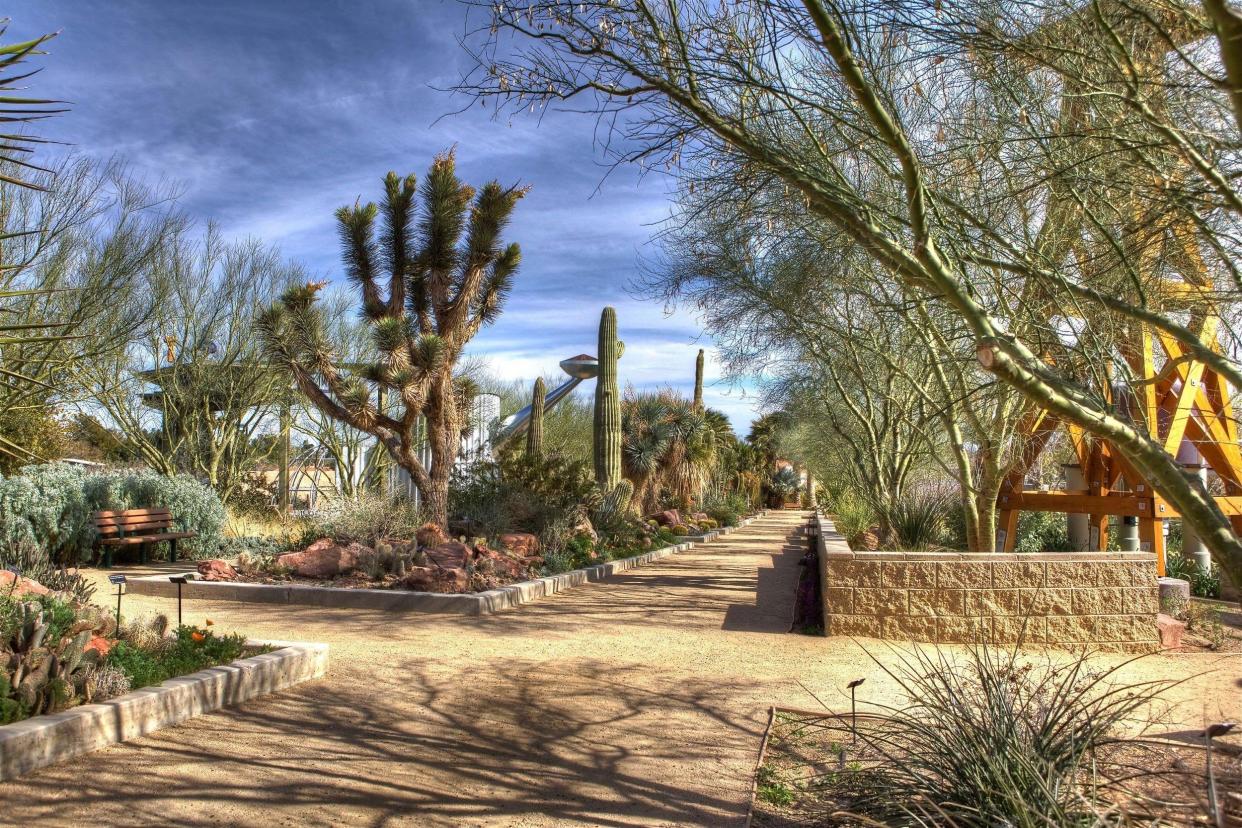 Ethel M Botanical Cactus Garden