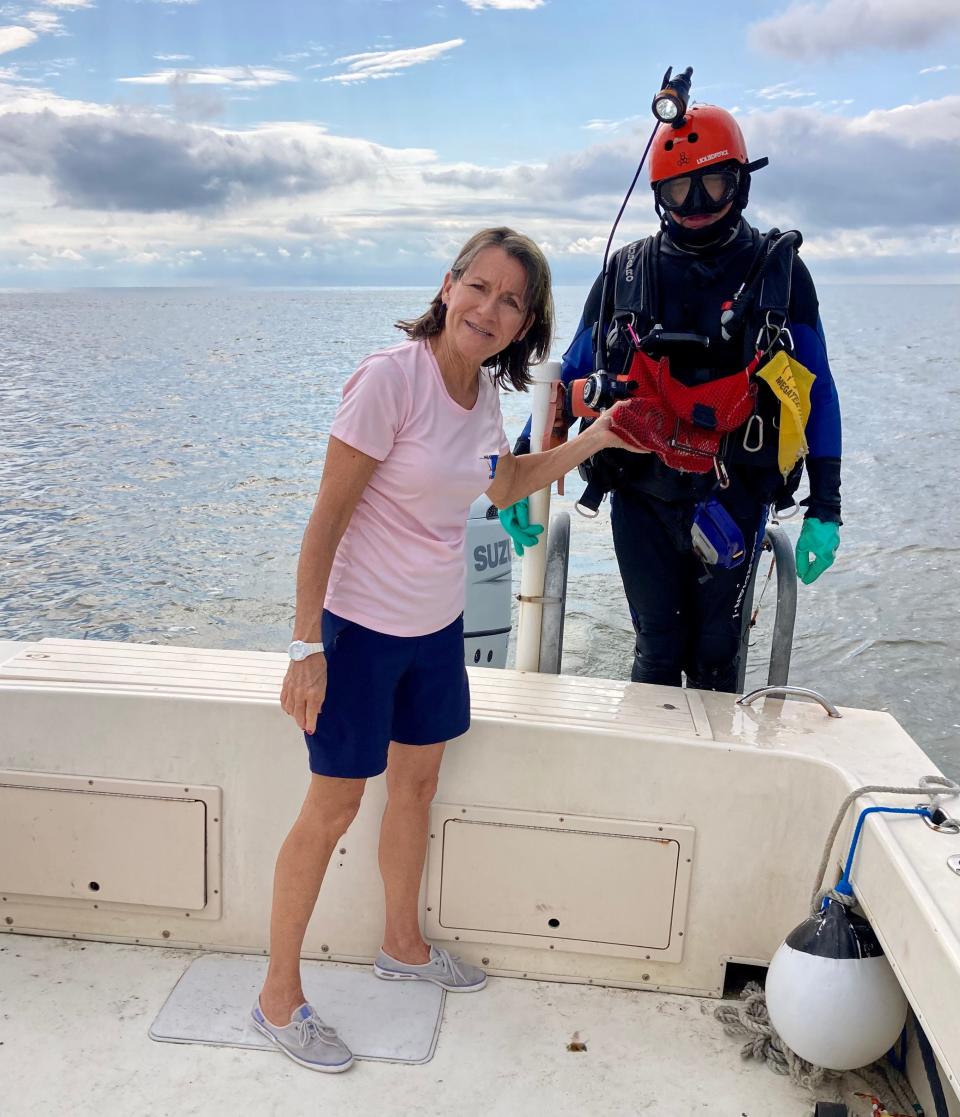 Bill Eberlein returning with an array of megalodon teeth in his mesh bag, after diving an hour, 70 feet below in the inter-coastal waterway.