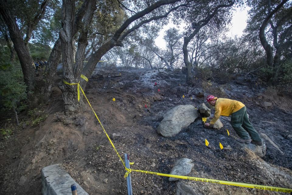 Darren Kaye, a Forest Service firefighter, places flanking flags to determine the origin of the Martindale fire.